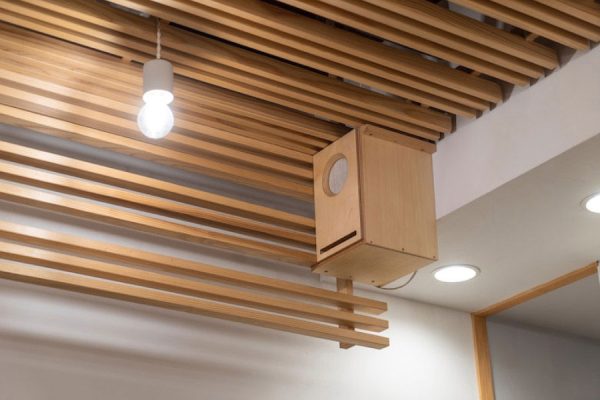 Ceiling Series